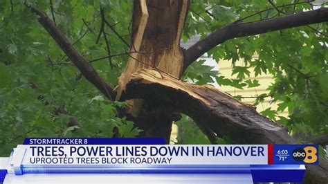 Man killed in Hanover after intense weather causes tree to fall onto trailer